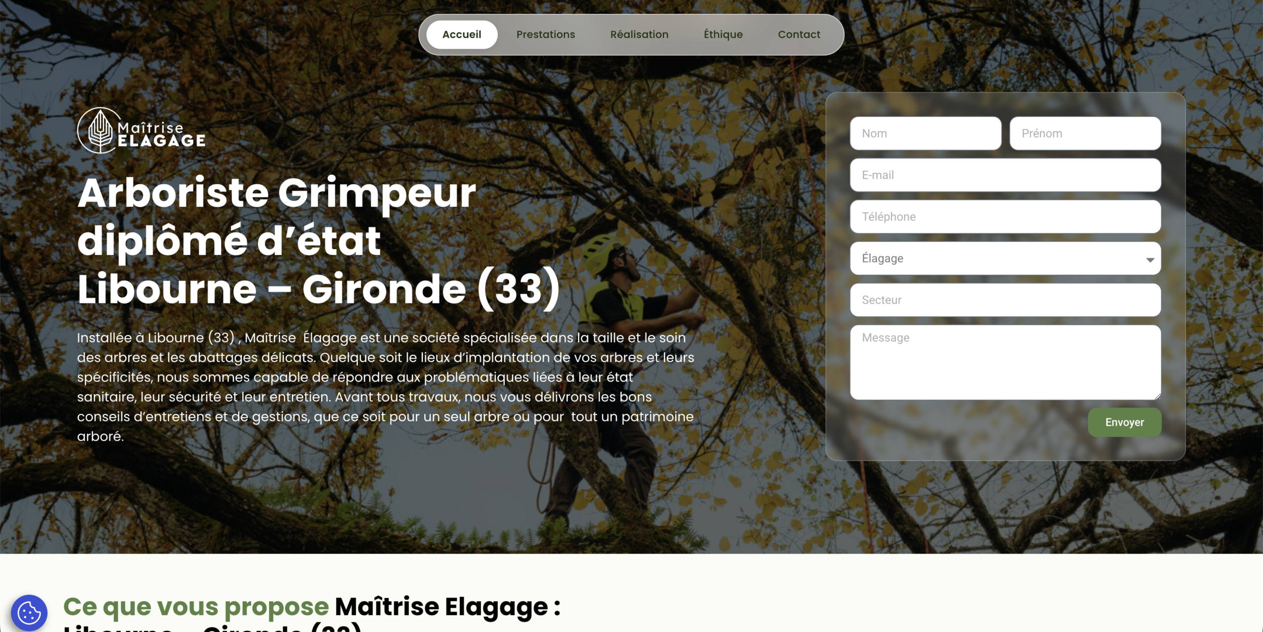 Exemple de création de site internet à Créon et en Gironde : page d'accueil du site Maîtrise Élagage, arboriste grimpeur